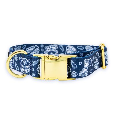 Collier pour chien "le Citadin"