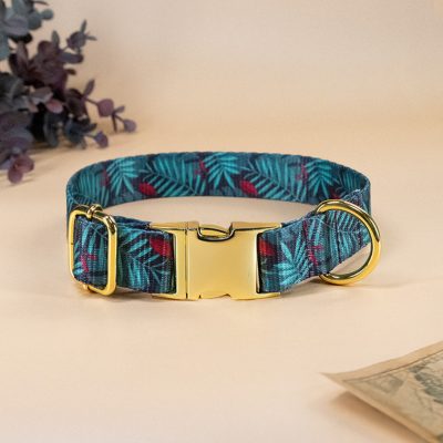 Collier pour chien Indiana — Motif exploration jungle | Atelier Farouche