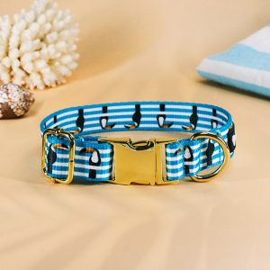 Collier pour chien motif pirate rayures toucans — Jack — Atelier Farouche