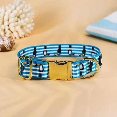 Collier pour chien "Jack" 5 Collier pour chien motif pirate rayures toucans — Jack — Atelier Farouche