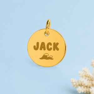 Collier pour chien "Jack" en or avec pendentif rond.