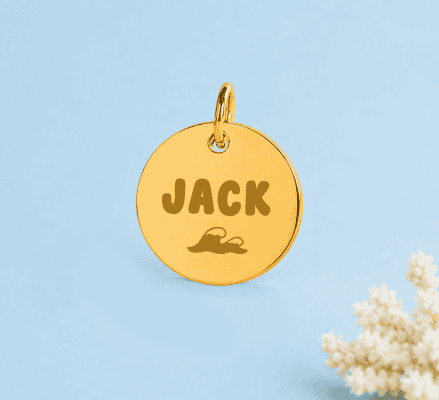 Collier pour chien "Jack" en or avec pendentif rond.