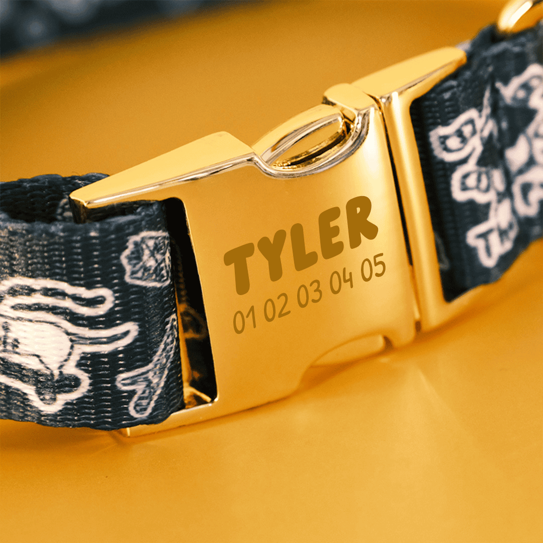 Collier pour chien personnalisé Tyler
