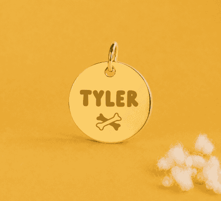 Pendentif rond en or avec le nom Tyler et une patte de chien.
