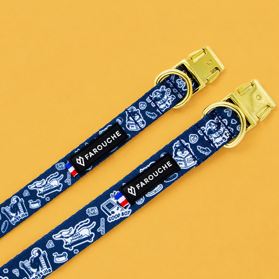 Collier pour chien motif urbain rebelle — Tyler — Atelier Farouche