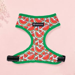 Harnais pour chien "Baby"